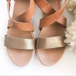 Sofft/Gladiator Sandal/Gold/Camel